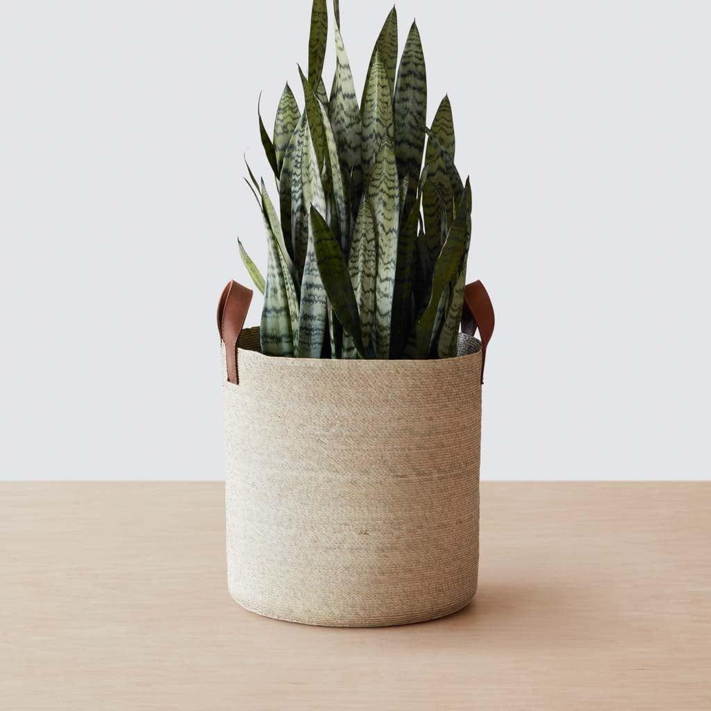 Round Mercado Storage Baskets