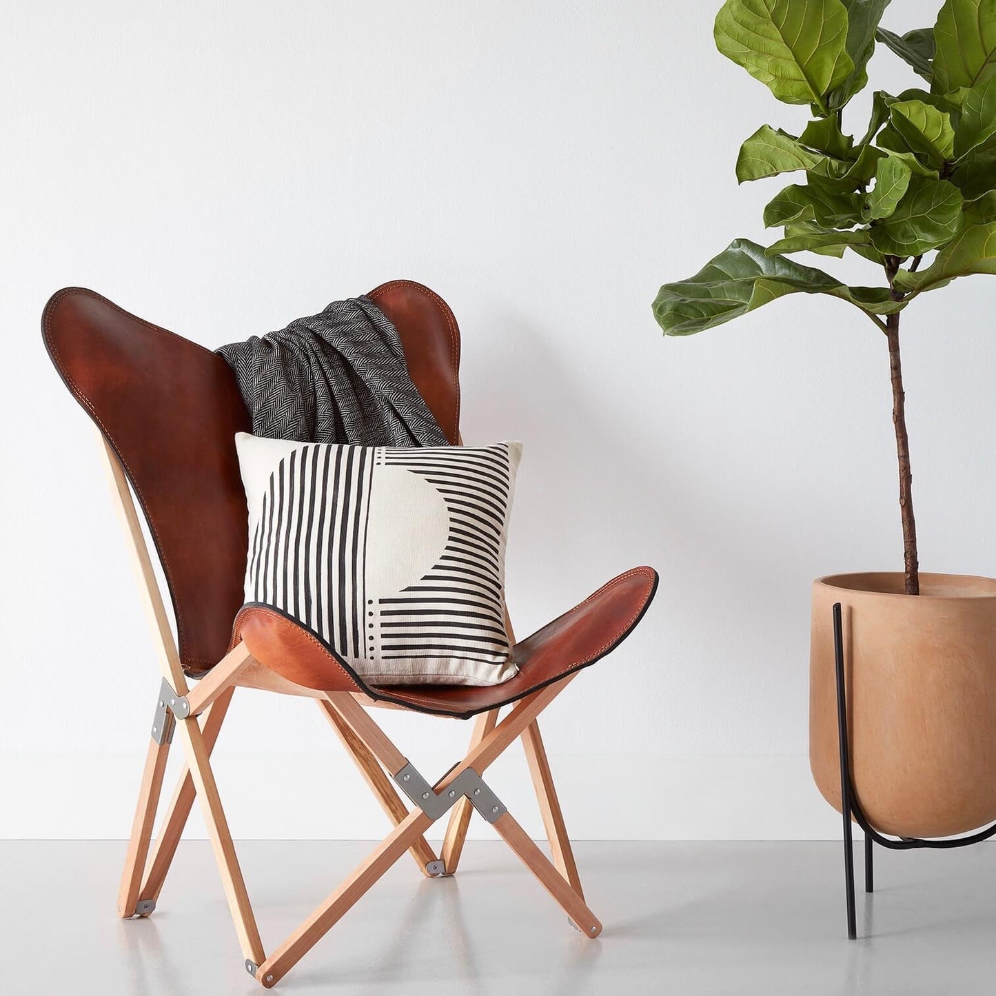 Cantaro Pots — Available in Various Sizes